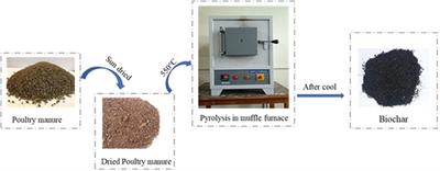 Adsorption of Methyl Orange and Cr (VI) Onto Poultry Manure-Derived Biochar From Aqueous Solution